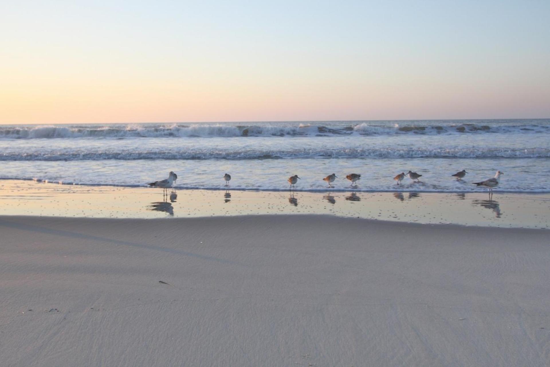 Just Beachy Villa Isle of Palms Exterior foto